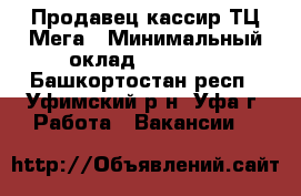 Продавец-кассир ТЦ Мега › Минимальный оклад ­ 20 000 - Башкортостан респ., Уфимский р-н, Уфа г. Работа » Вакансии   